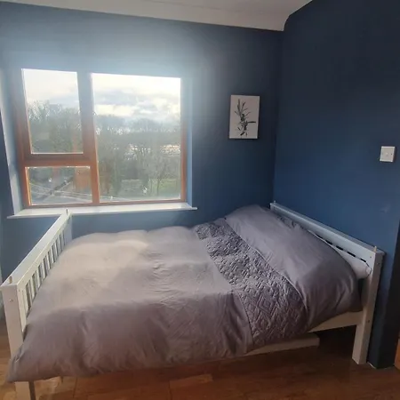 Riverside Modern Gem In Dublin