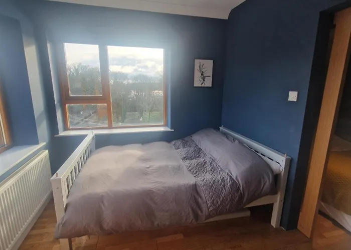 Riverside Modern Gem In Dublín